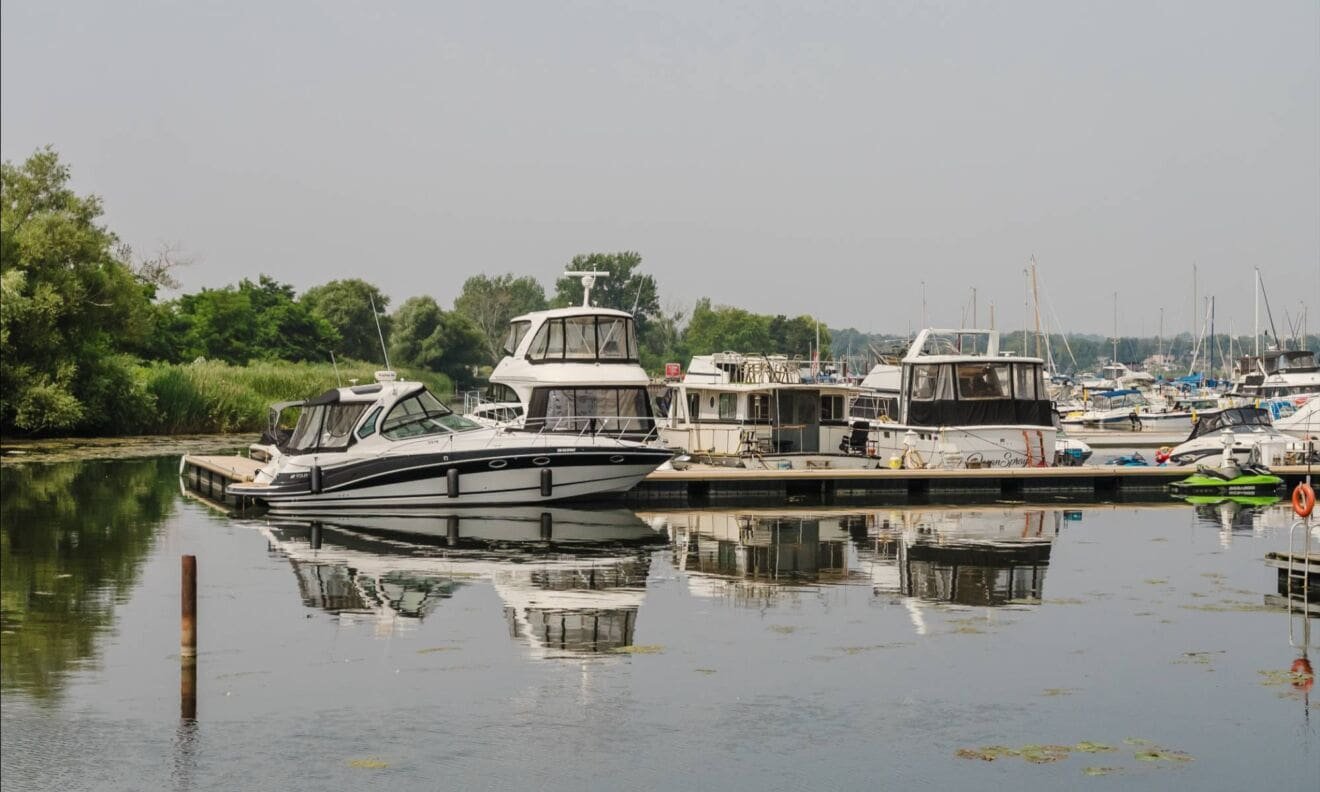 Frenchman's Bay 